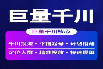 网络推广秘籍：竞价排名成功案例集锦
